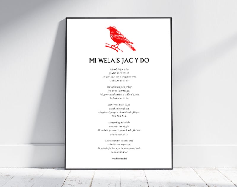 Mi Welais Jac Y Do Poster The Home Of Tidy Stuff Personalised Items